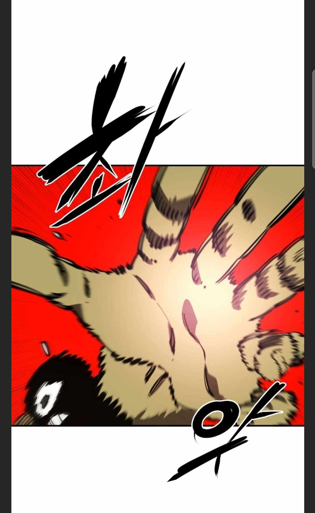 81