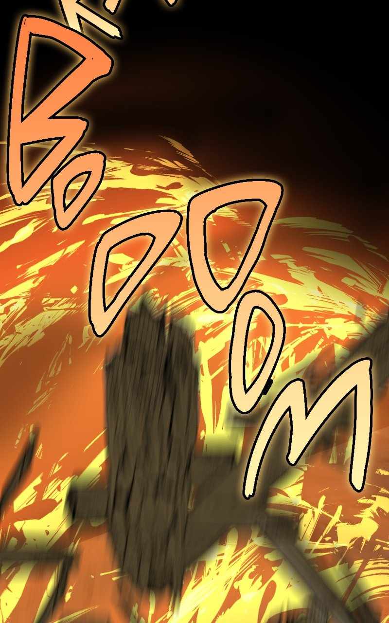 66