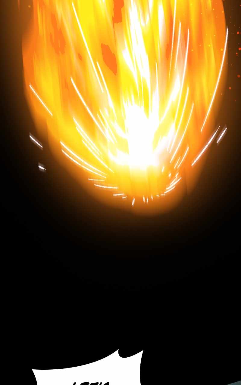 81