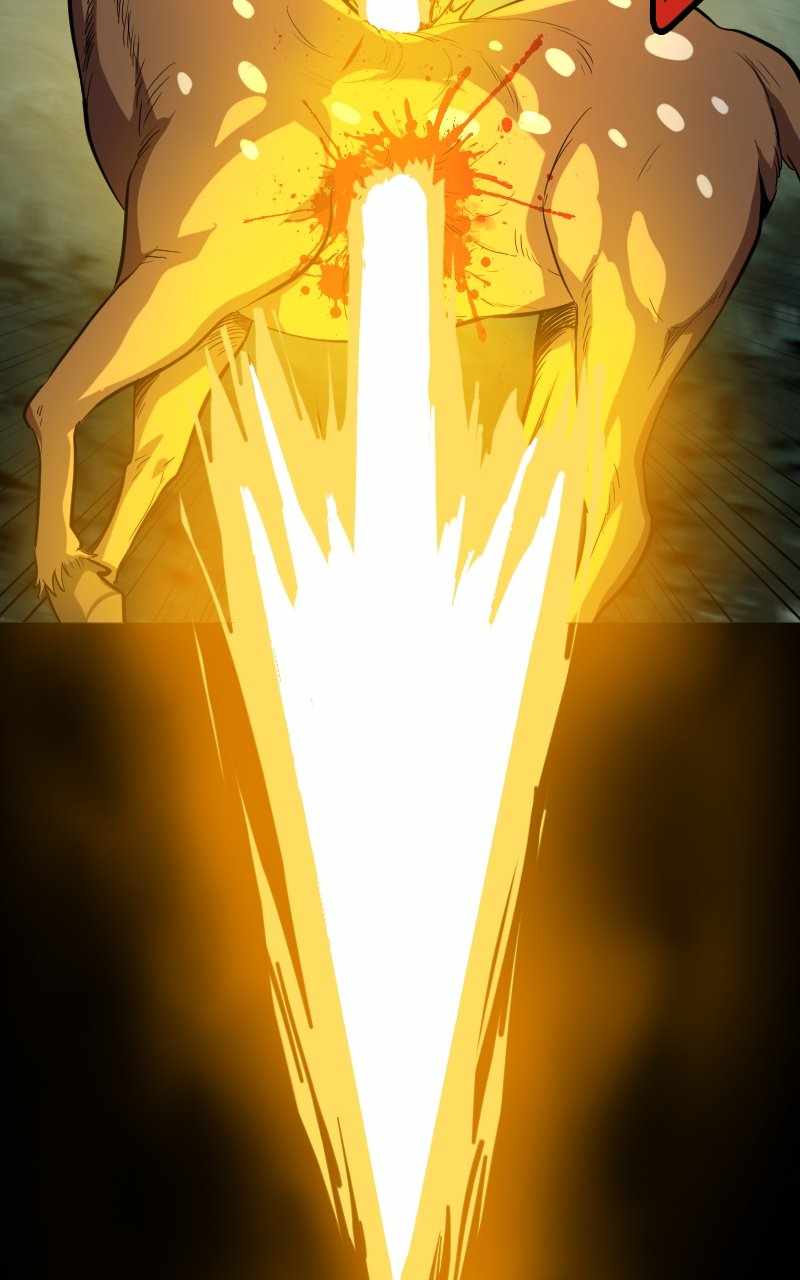 81