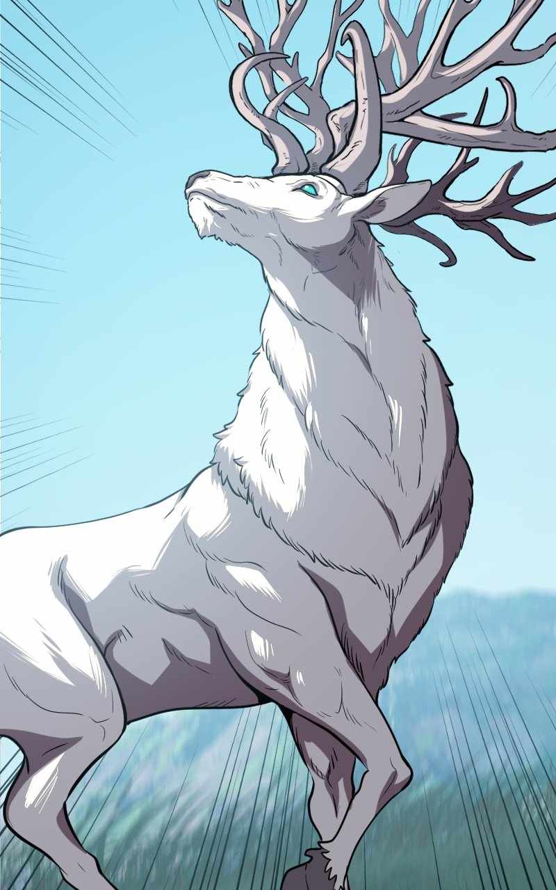 114