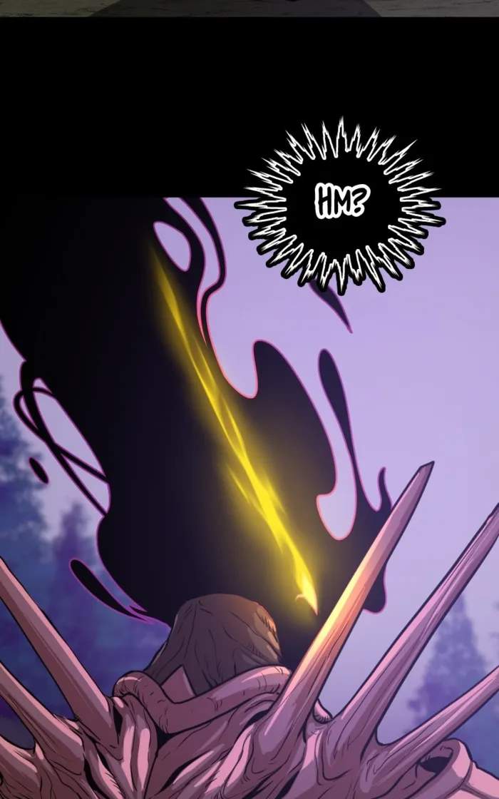 80