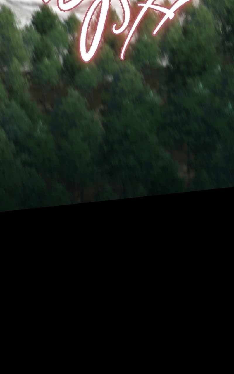 81