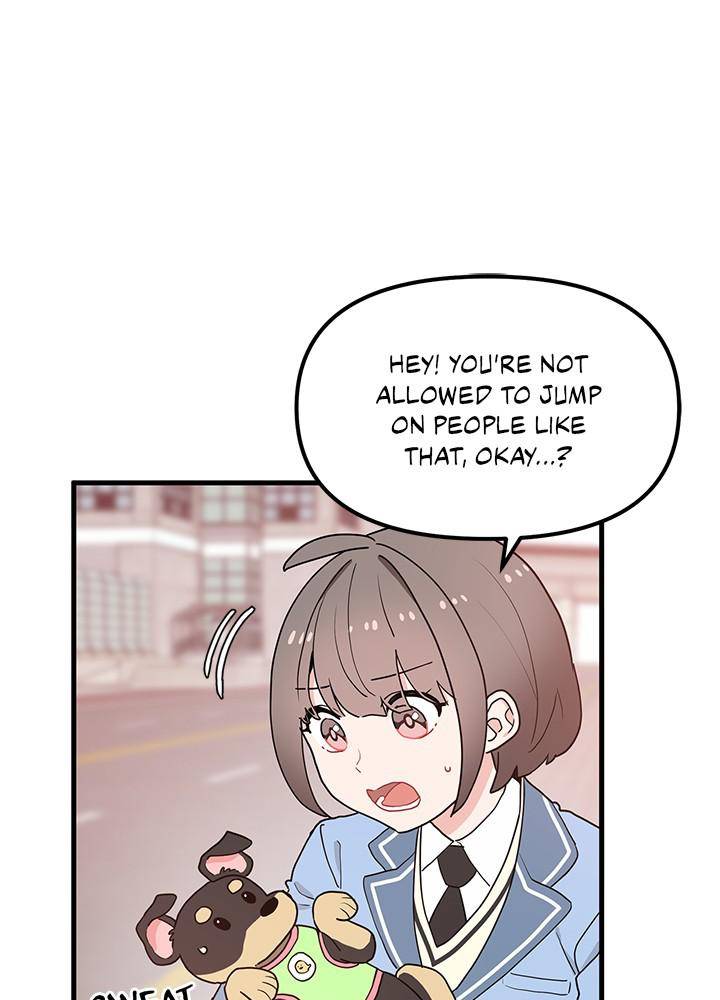 55
