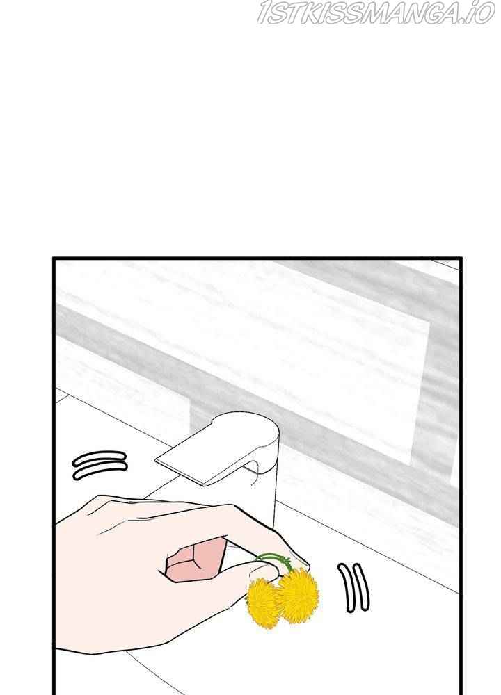 81