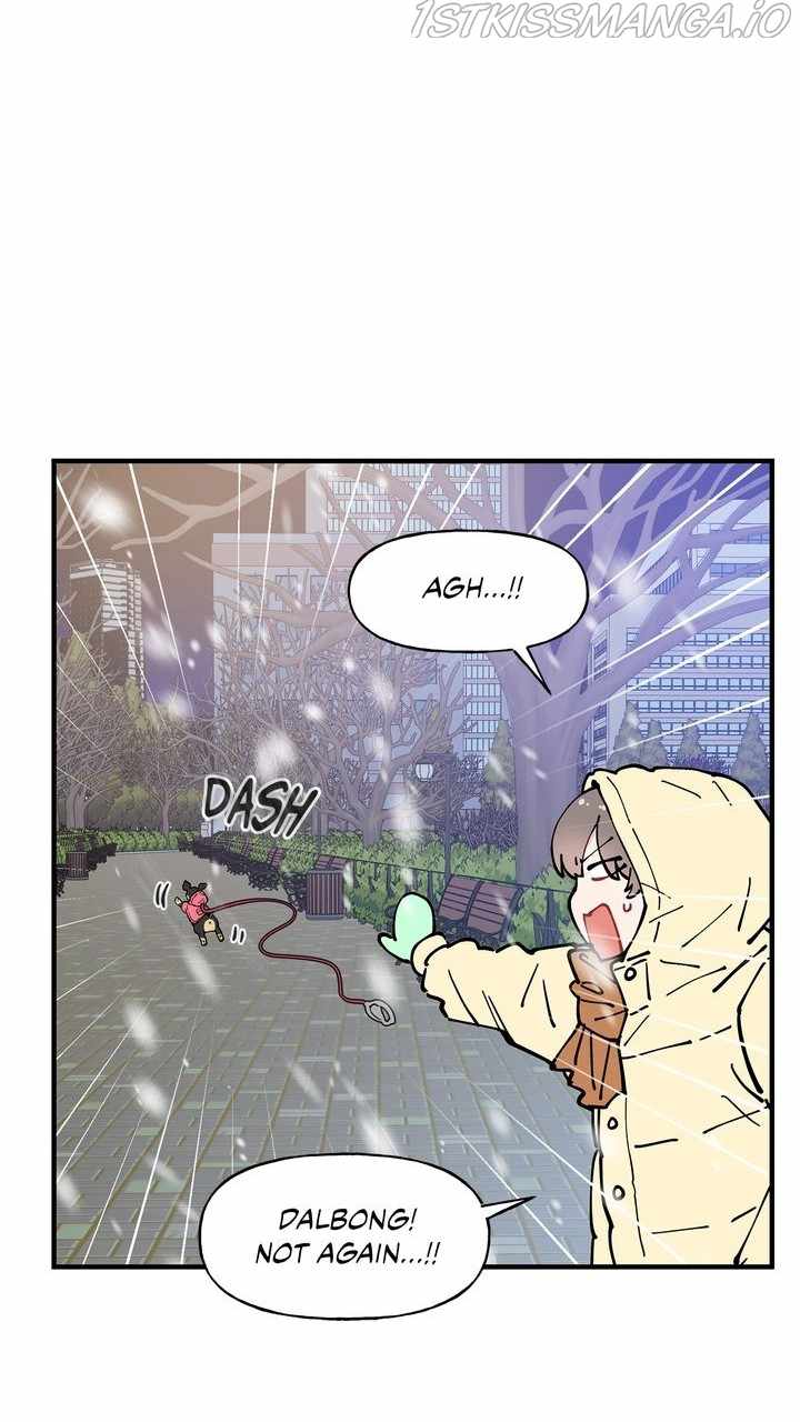 43