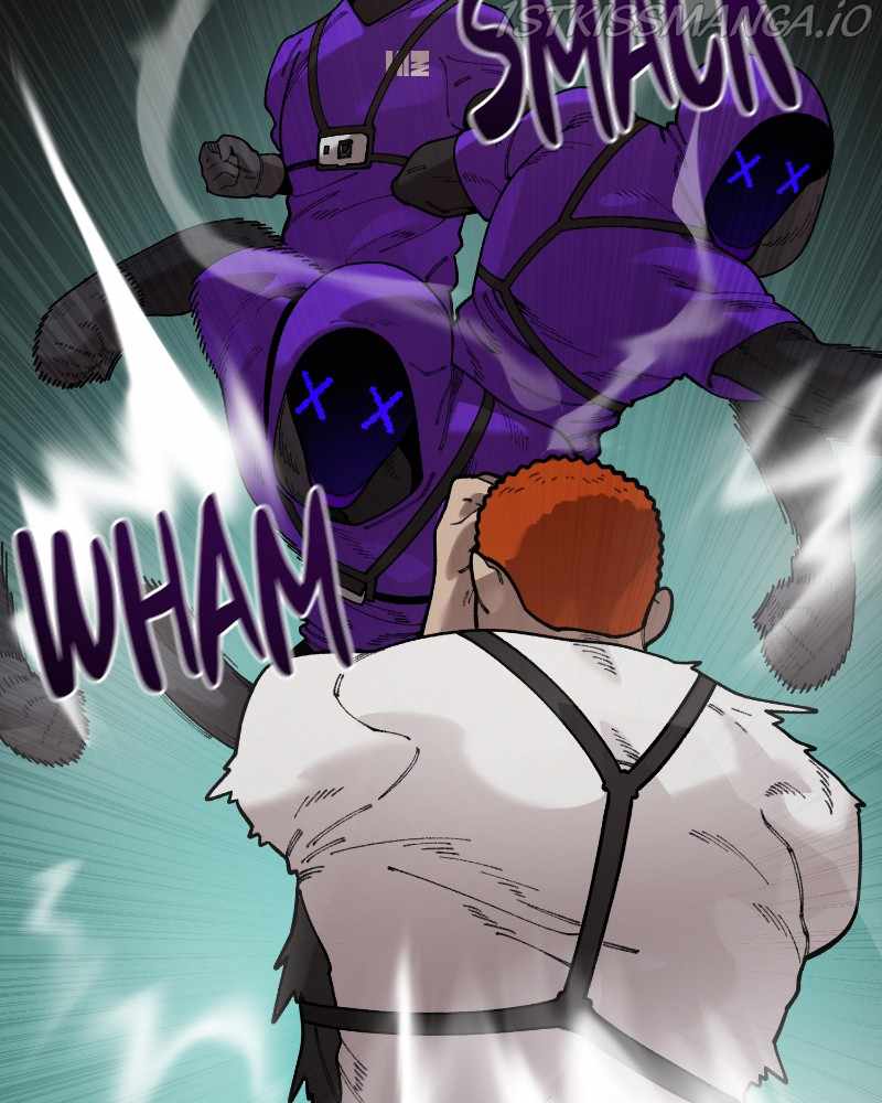 81