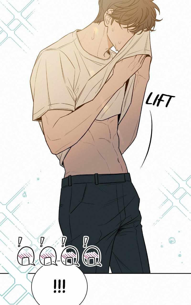81