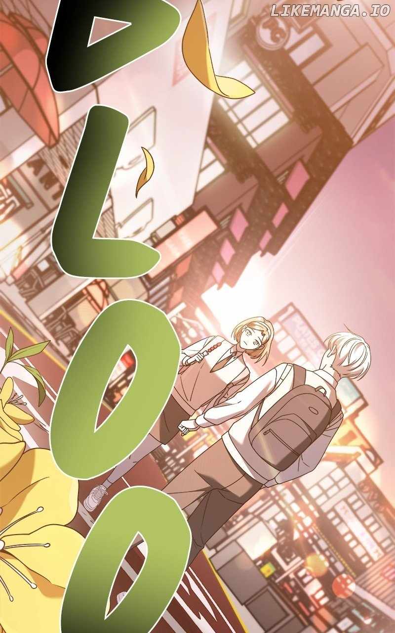 81