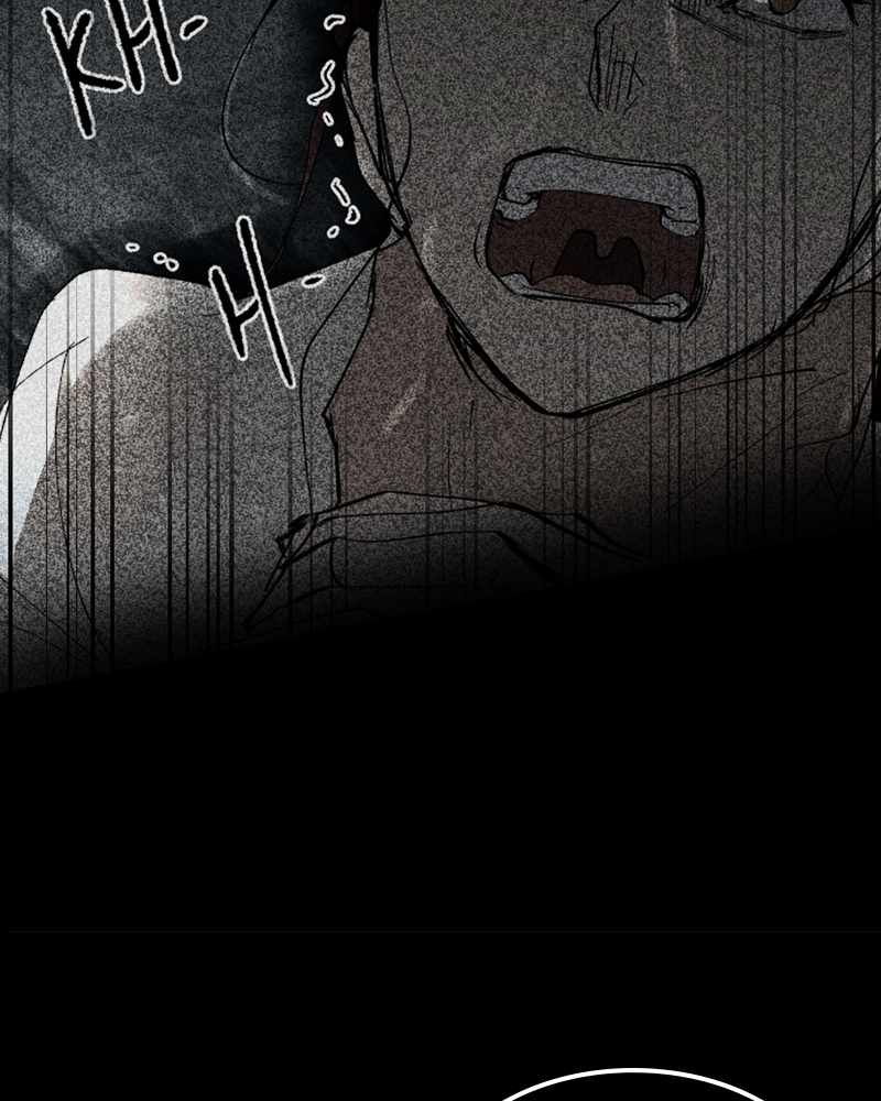 81