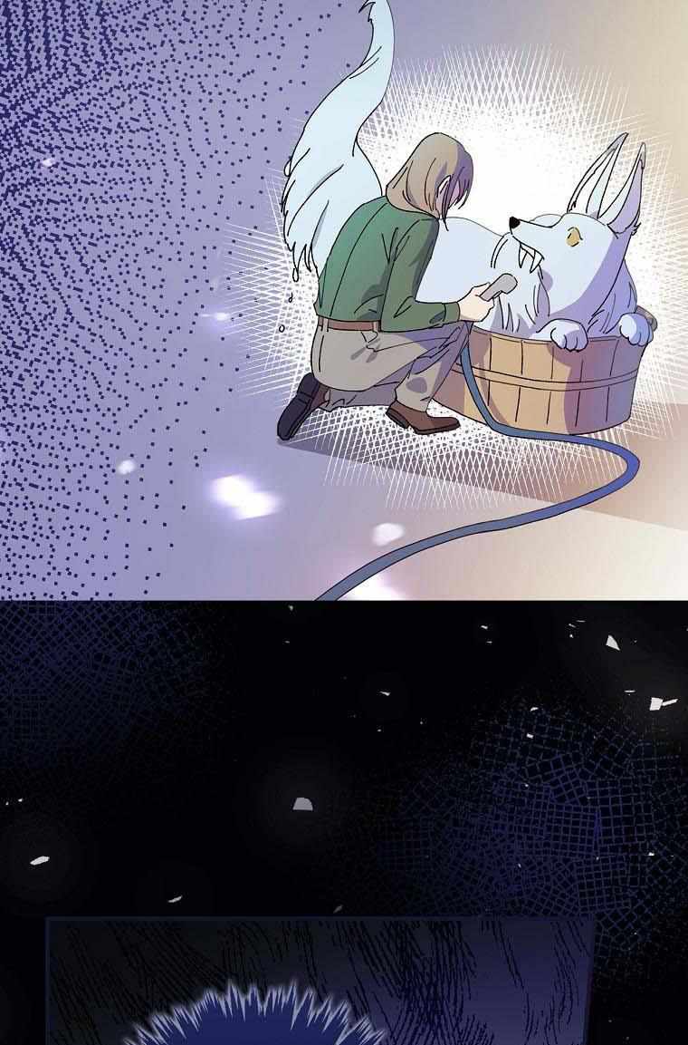 71