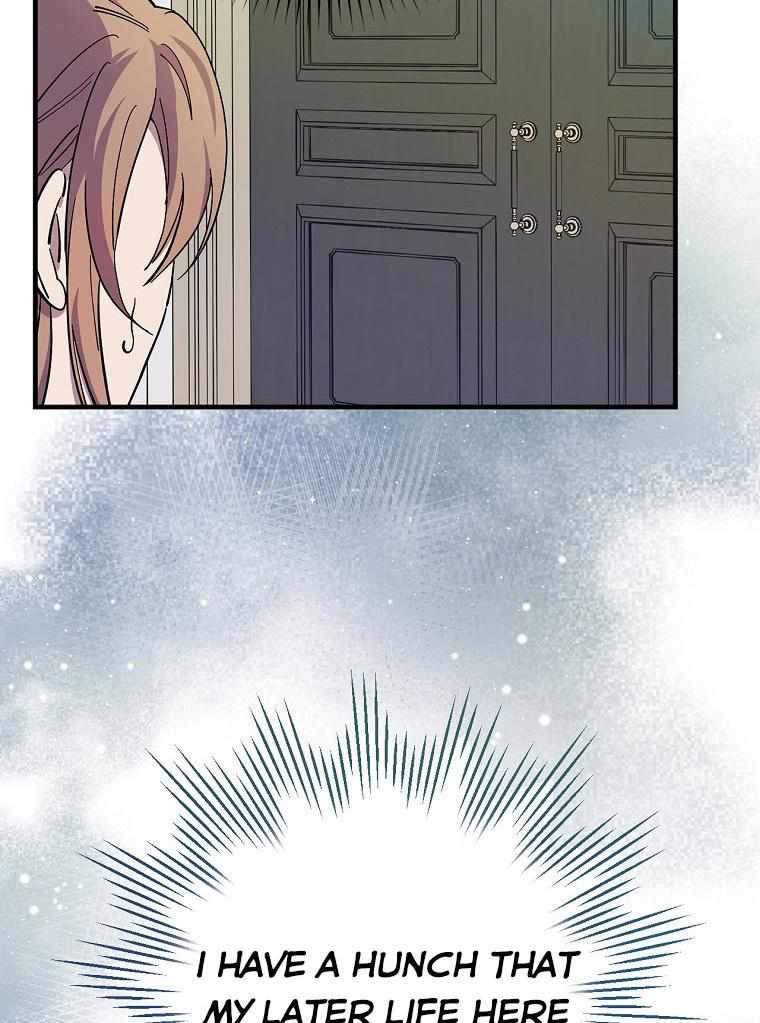 81