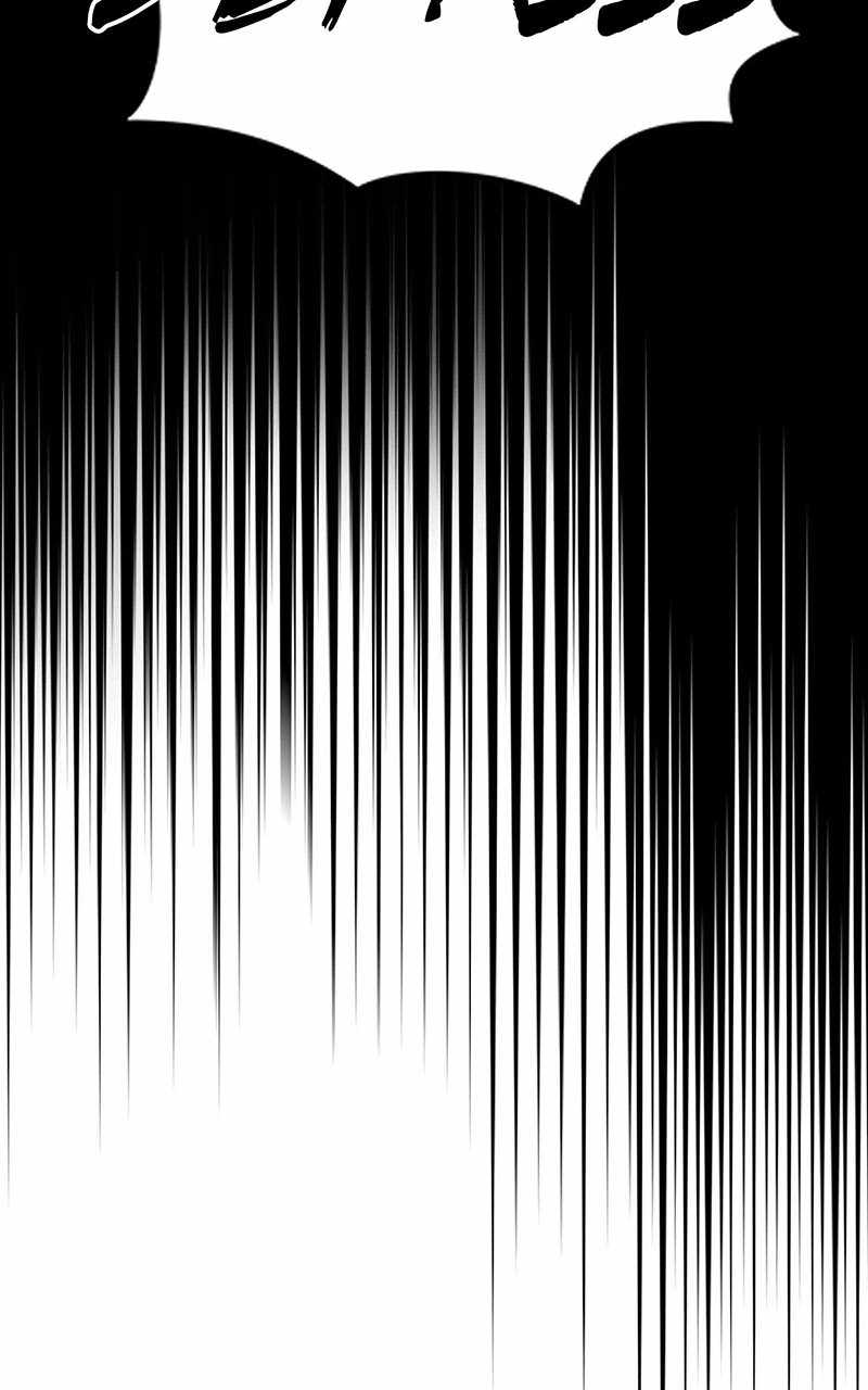 81