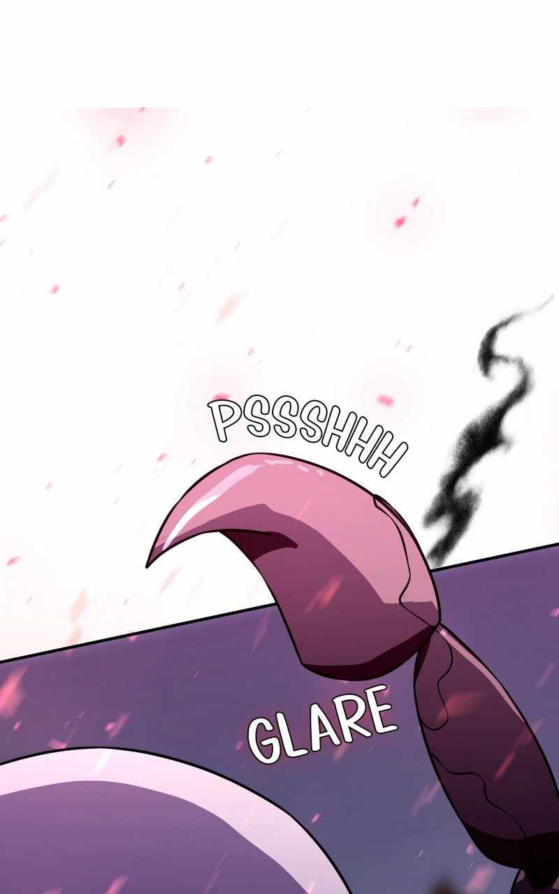 81