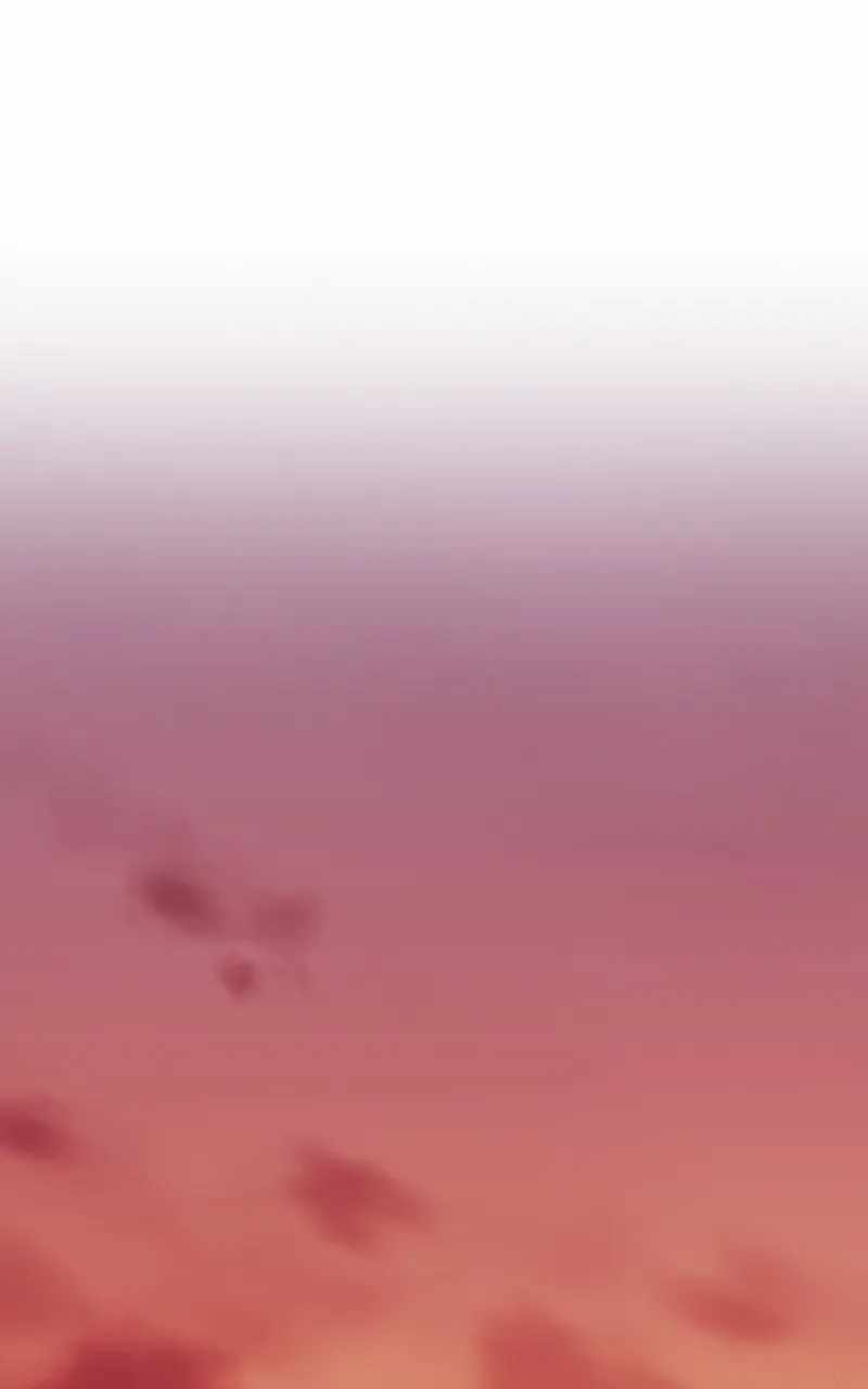 73