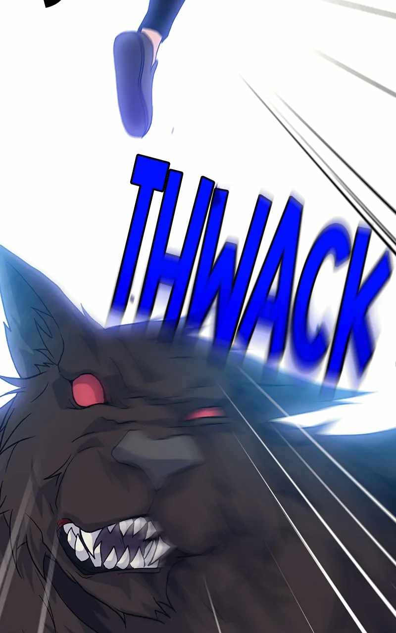 66