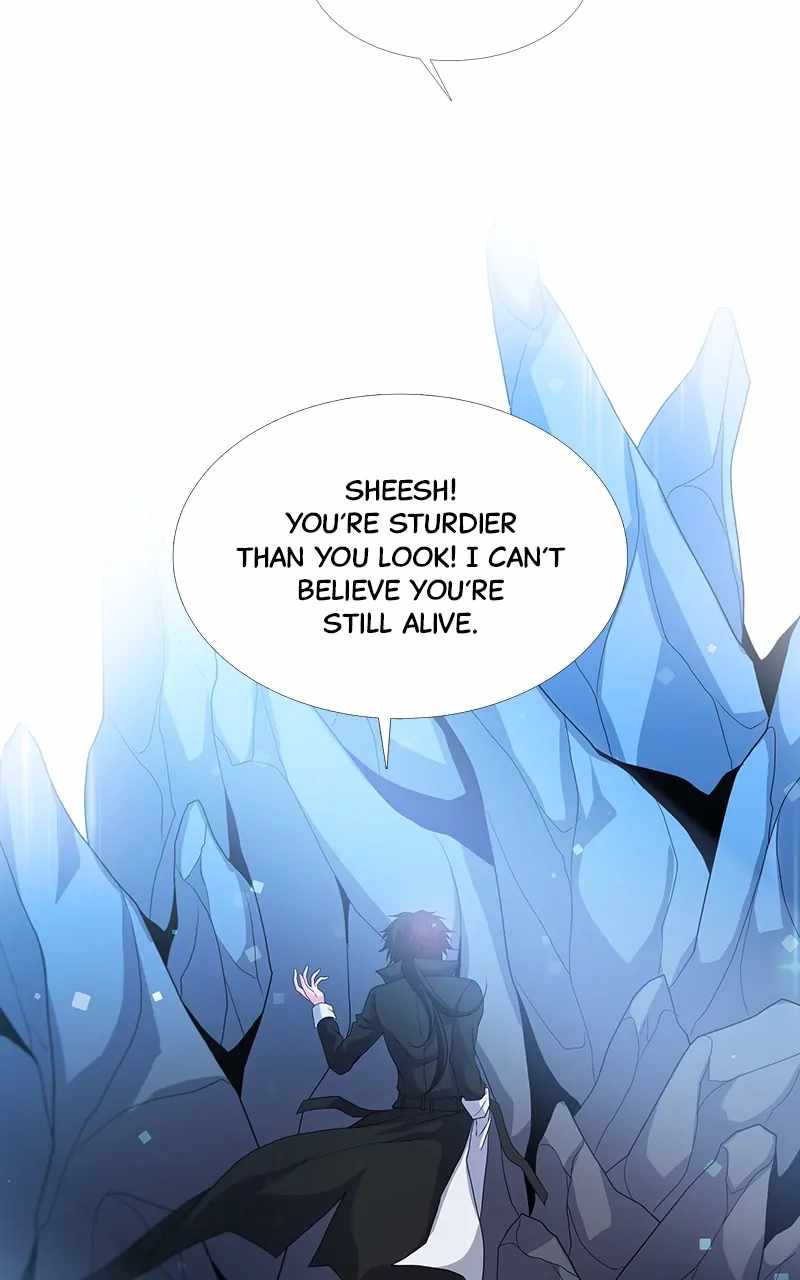 81