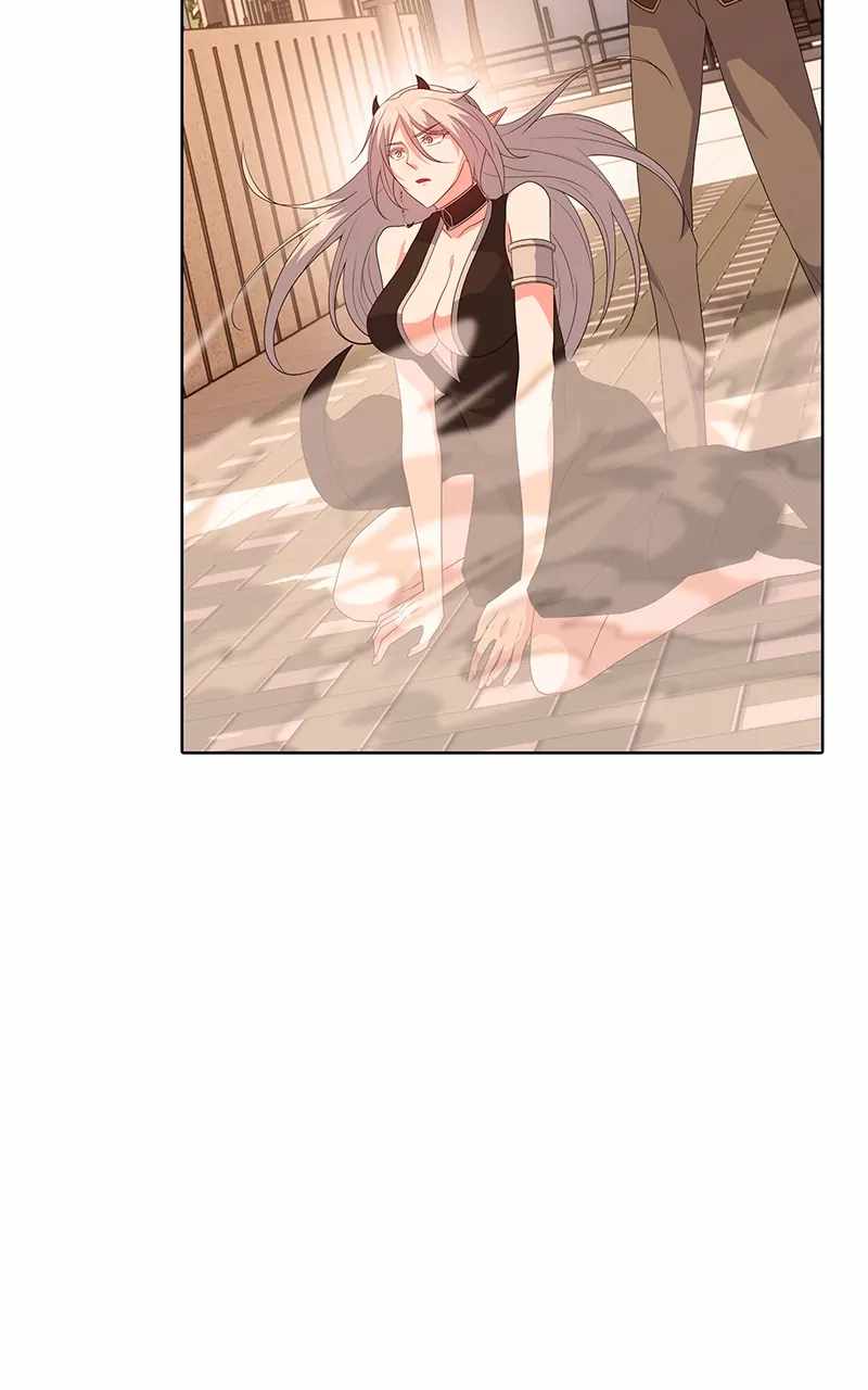 81
