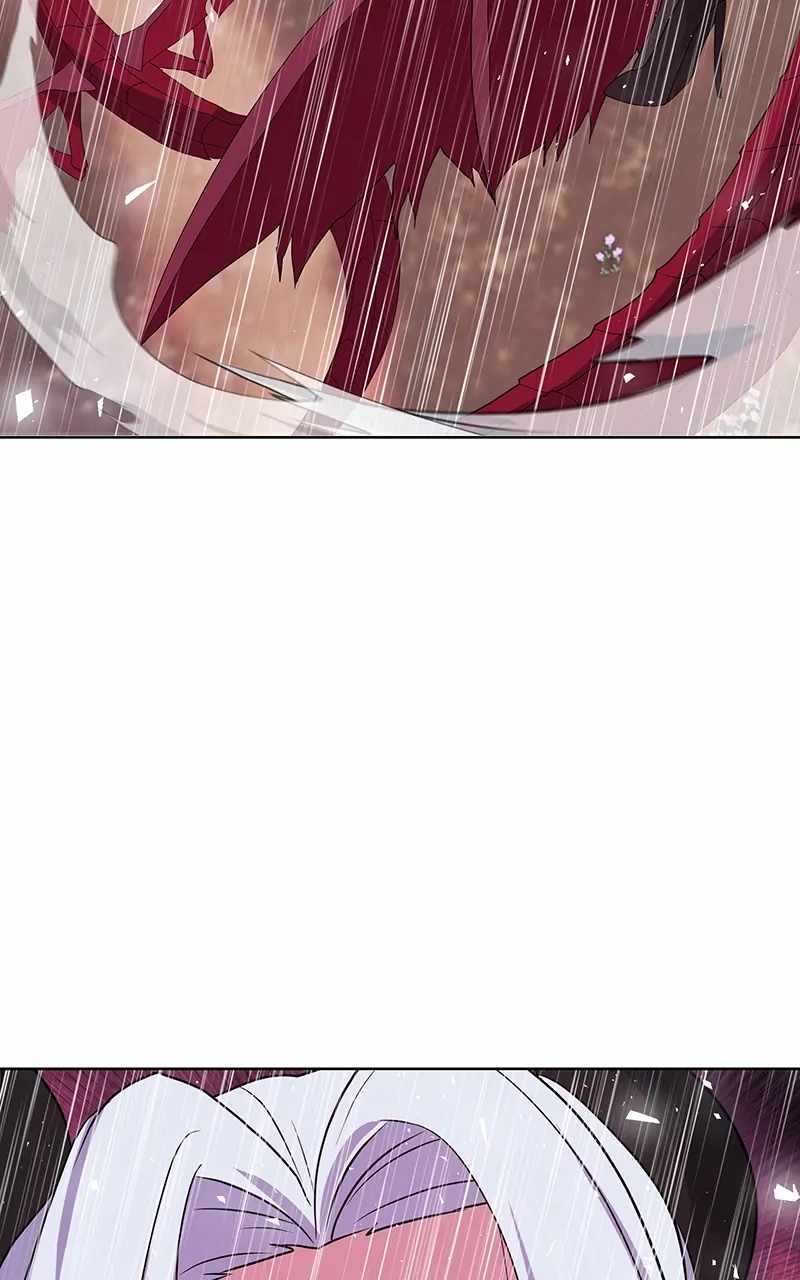 113