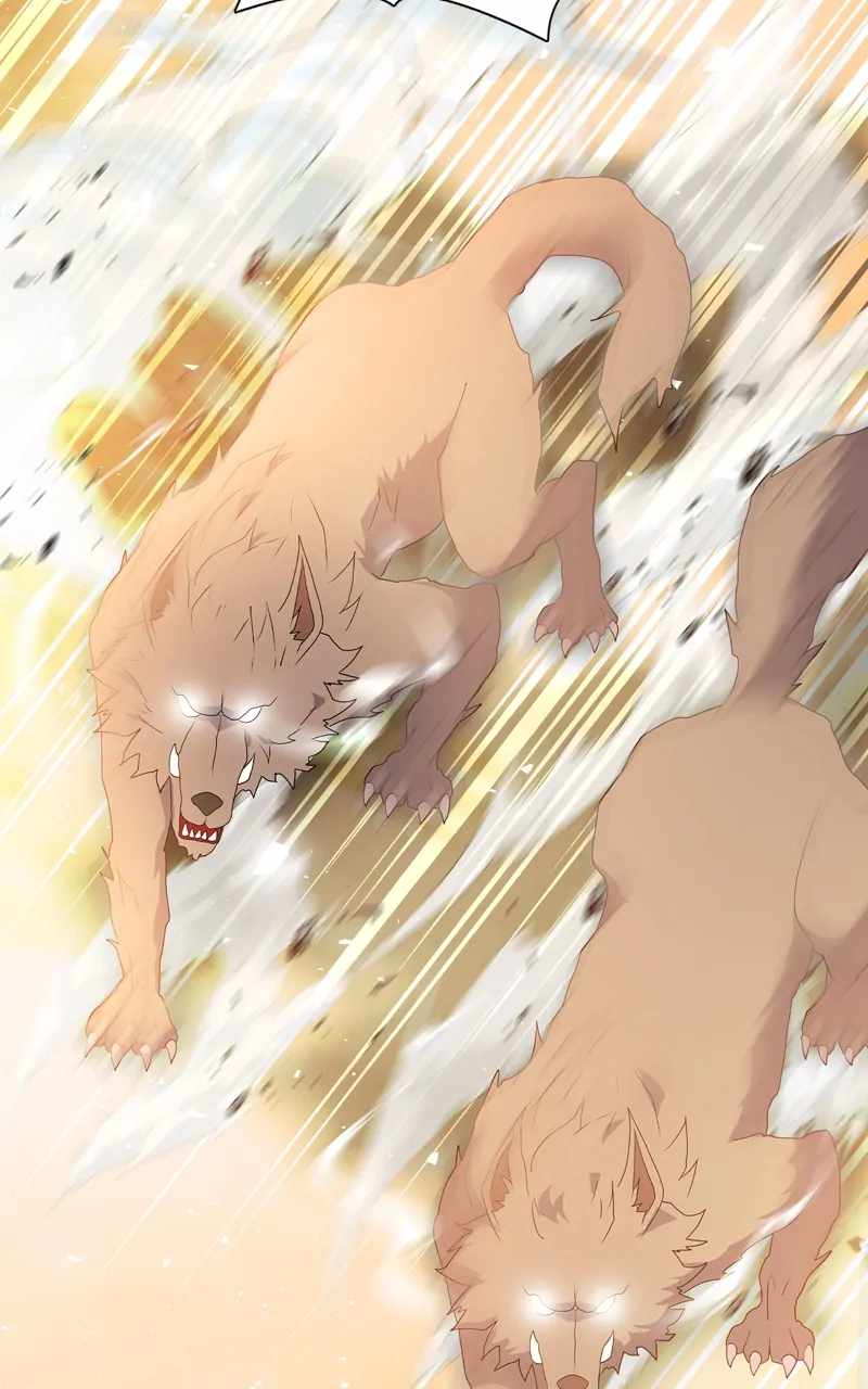 71