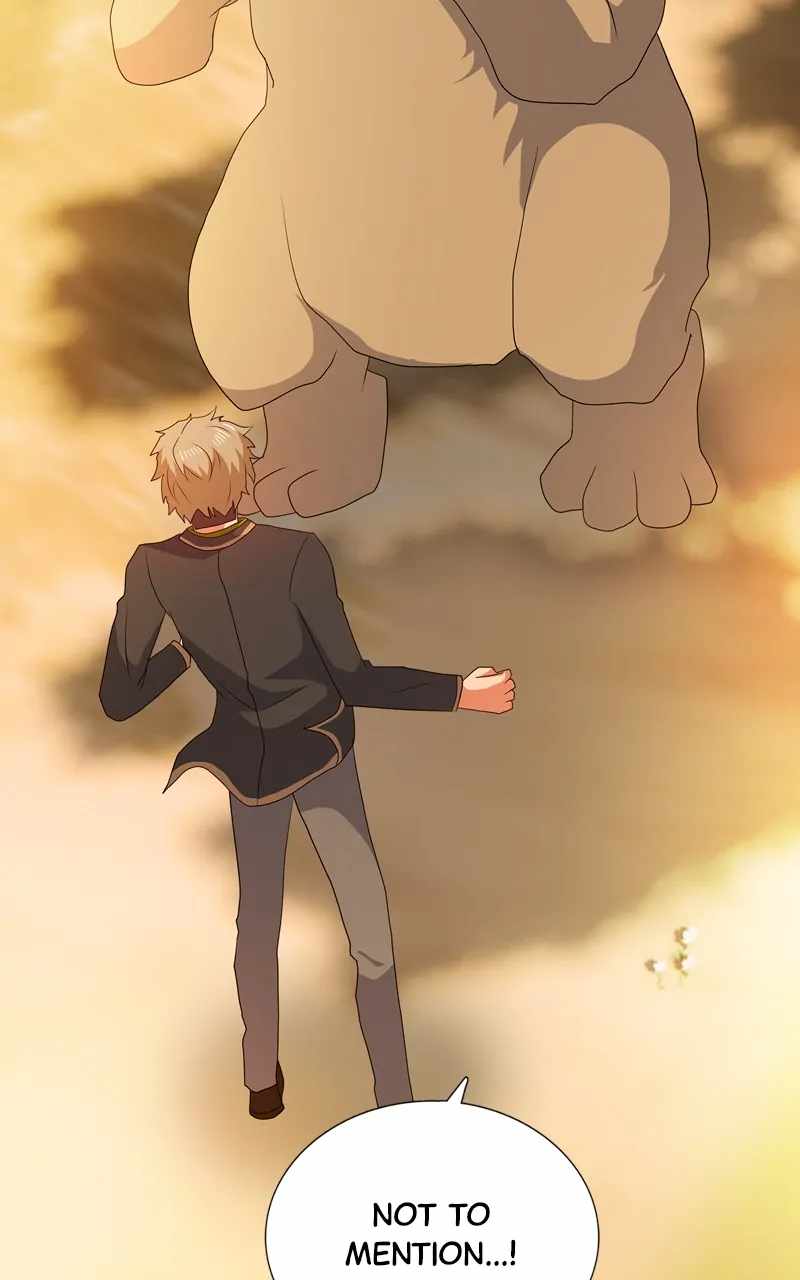 81