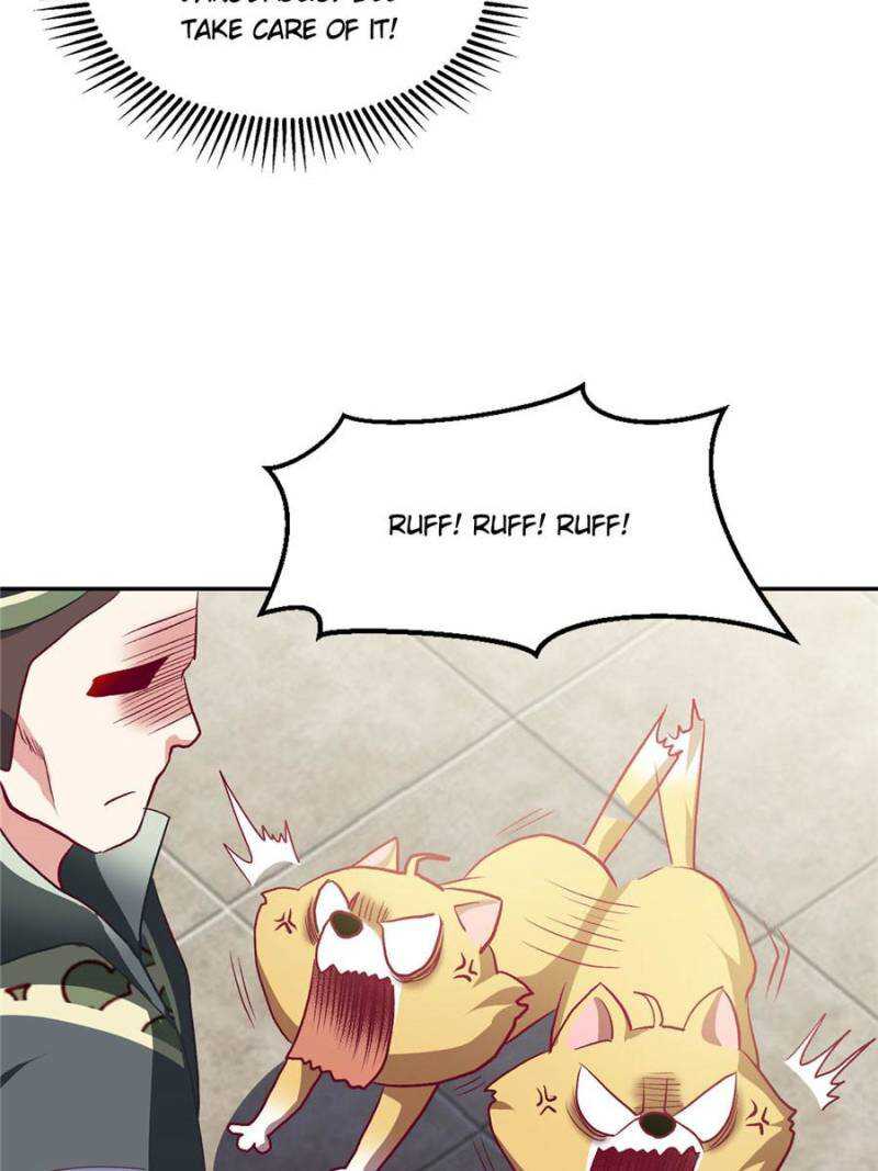 41