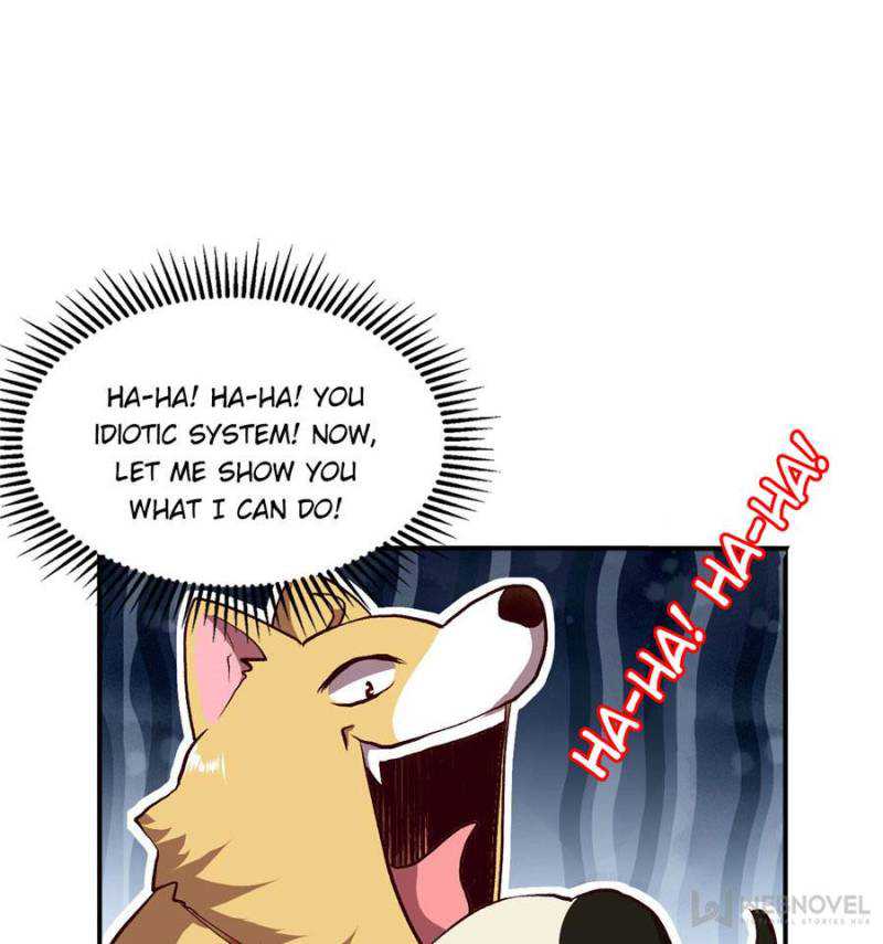 51