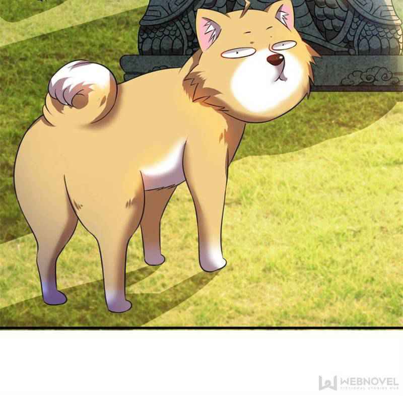 51