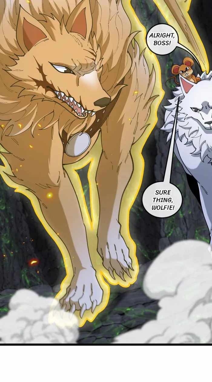 31