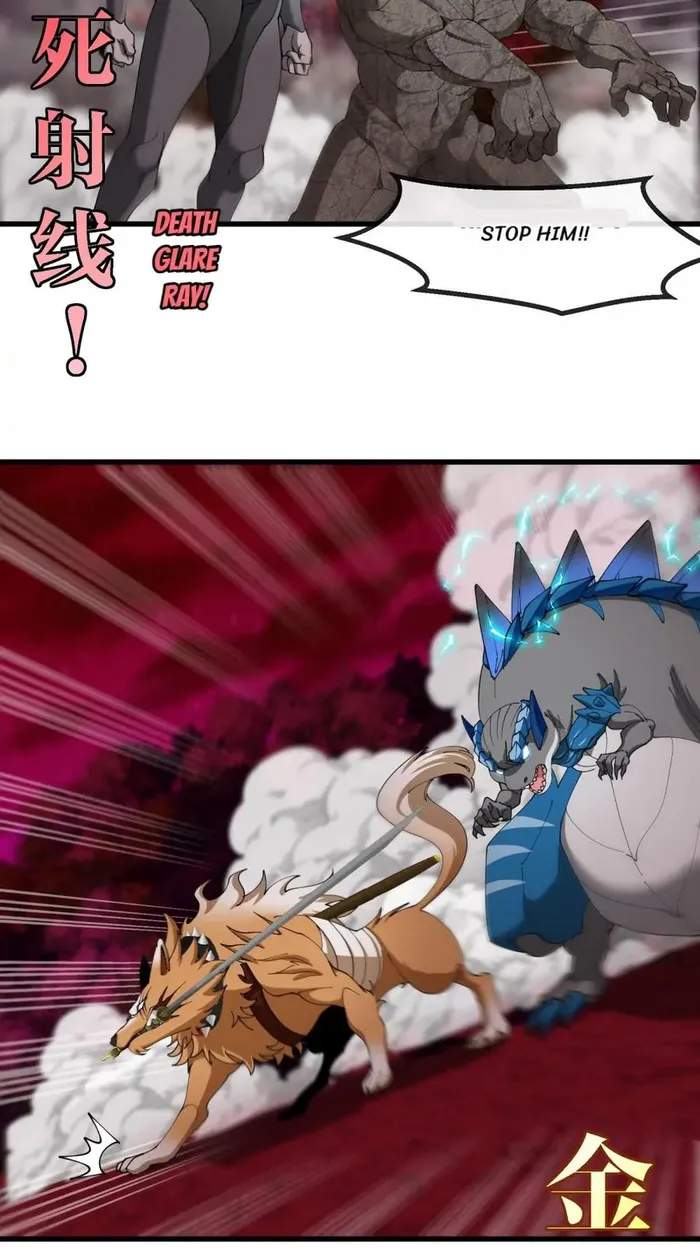43