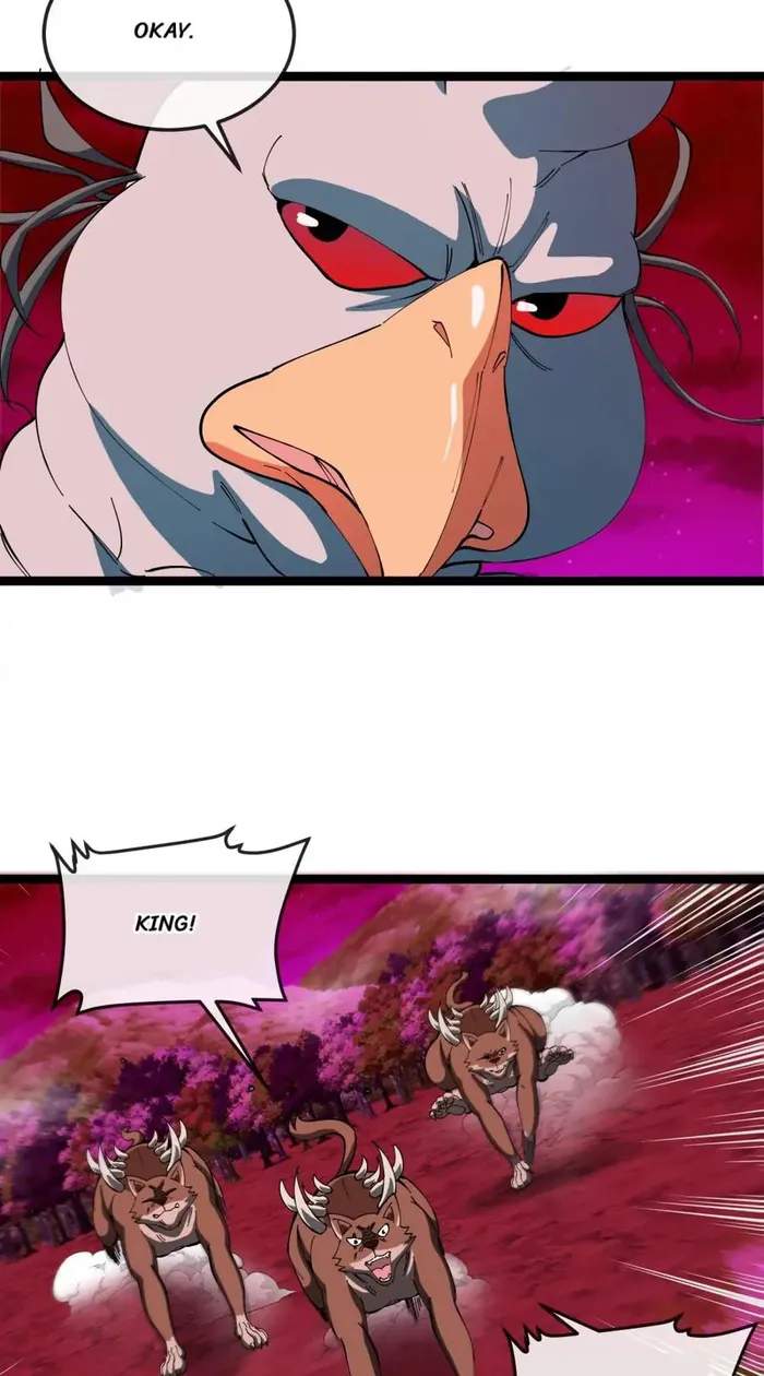 43