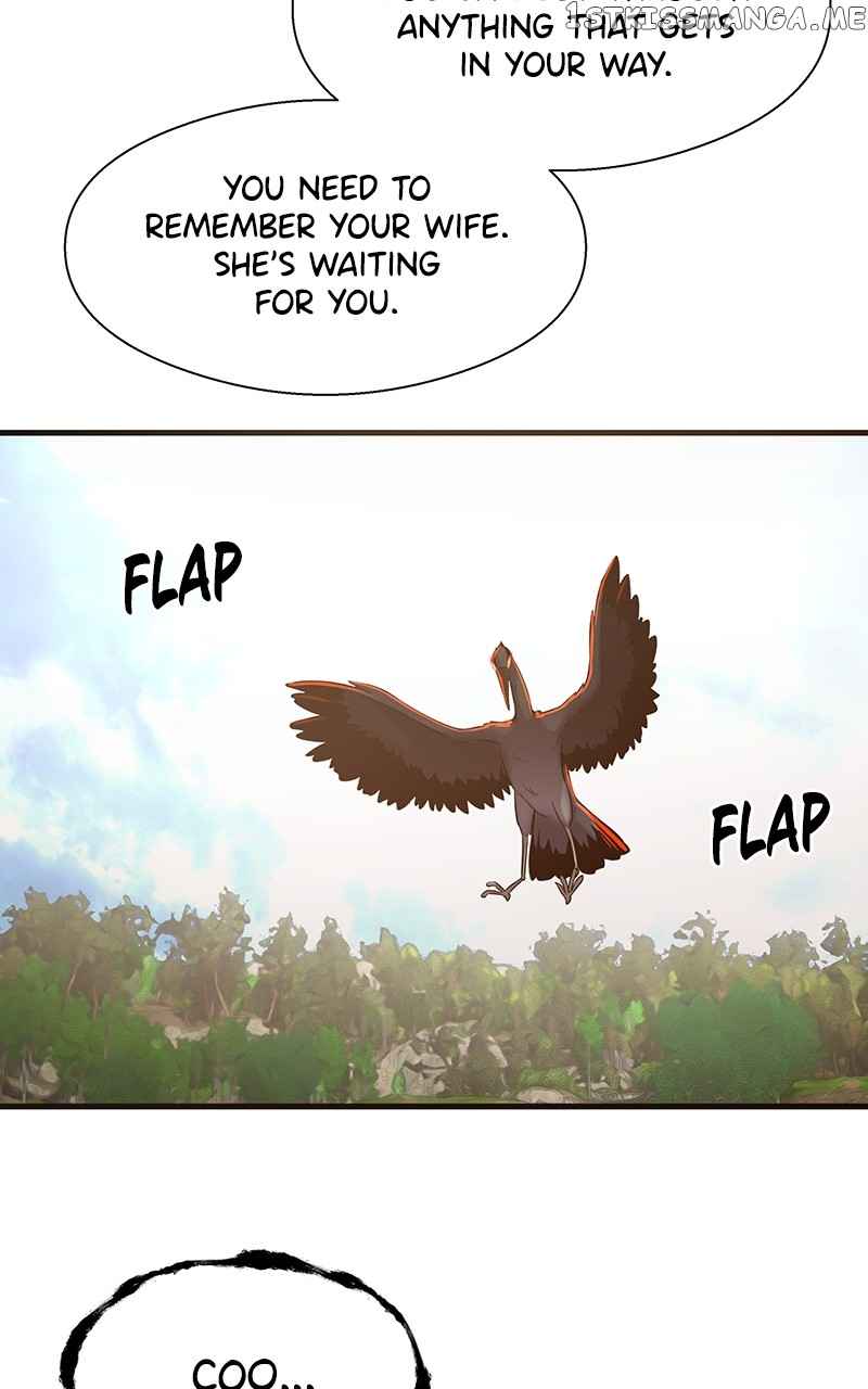 66
