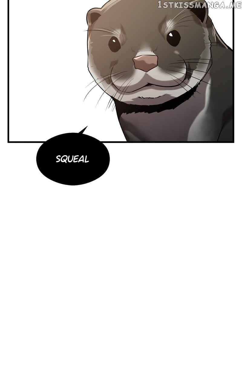 81