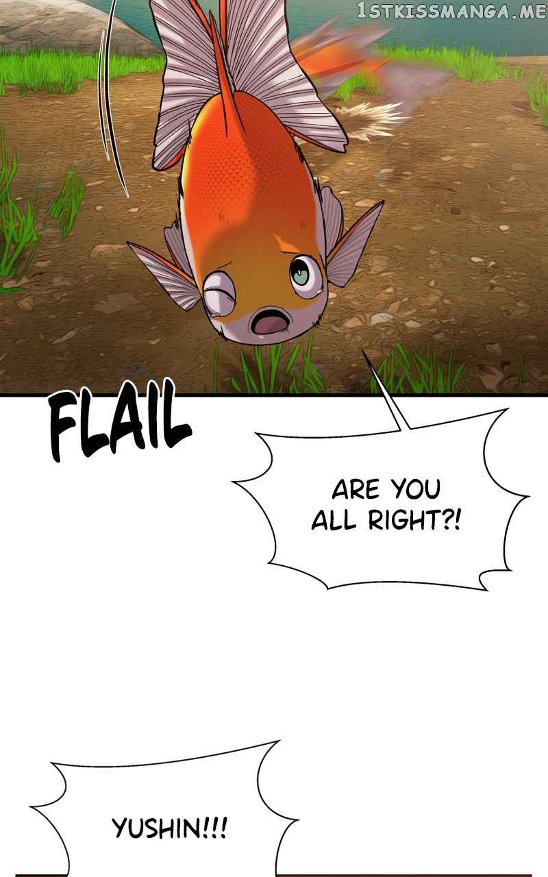 66