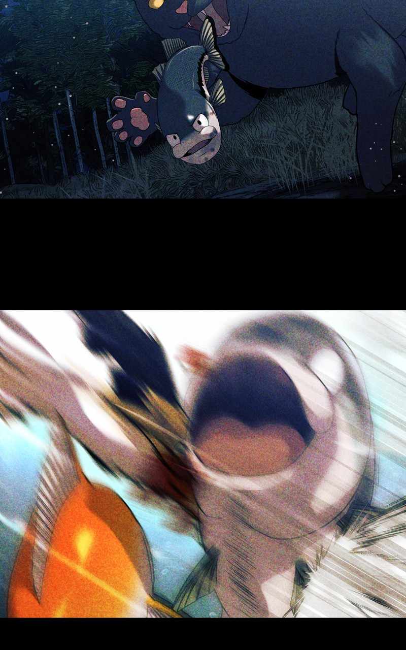 64