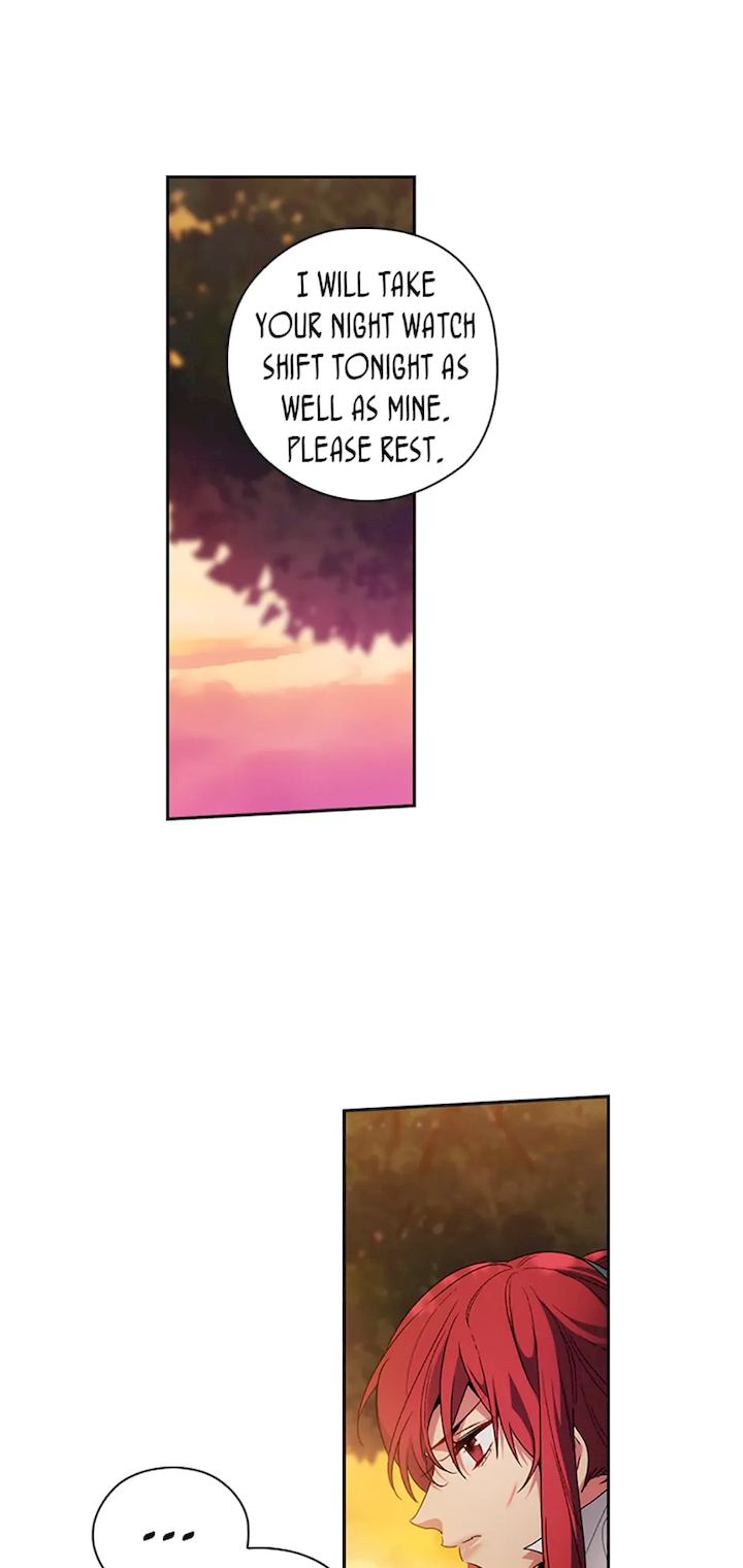 41