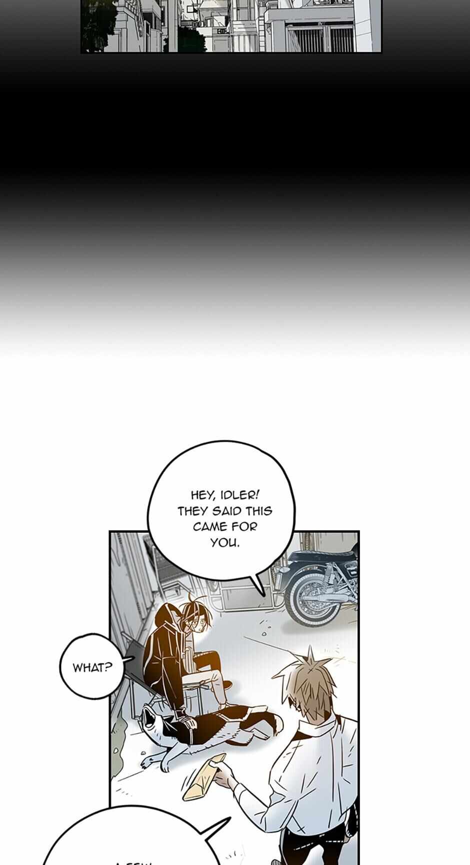 43