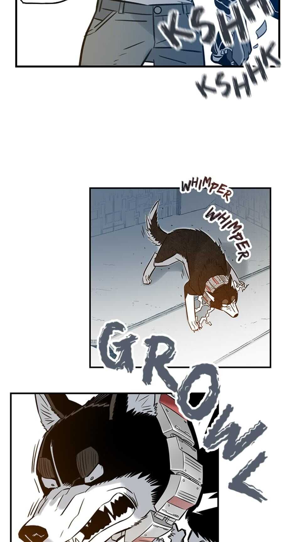 41