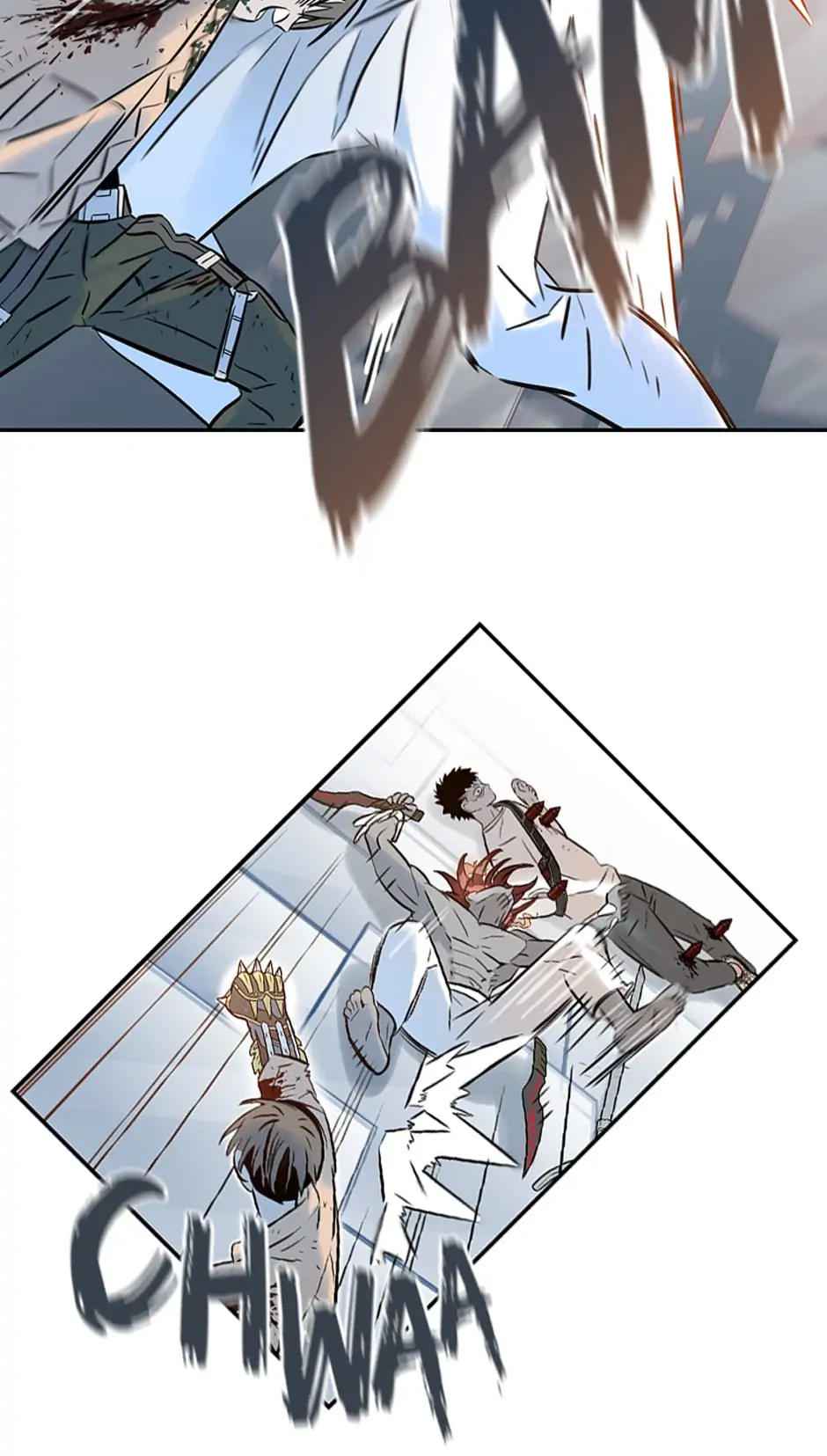 43