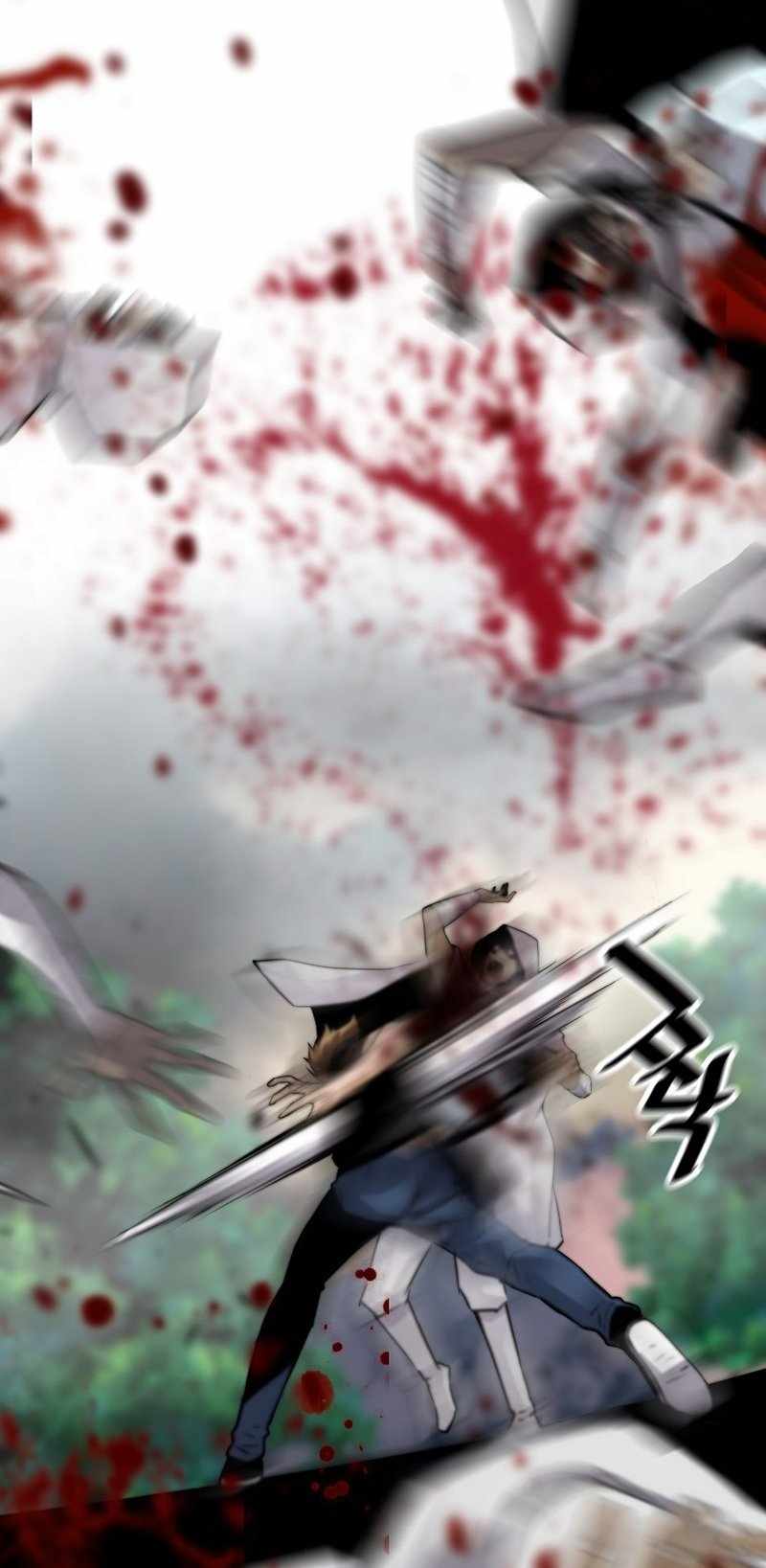 81