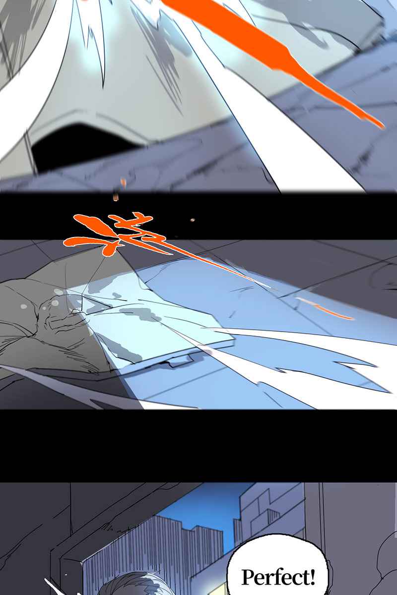 29