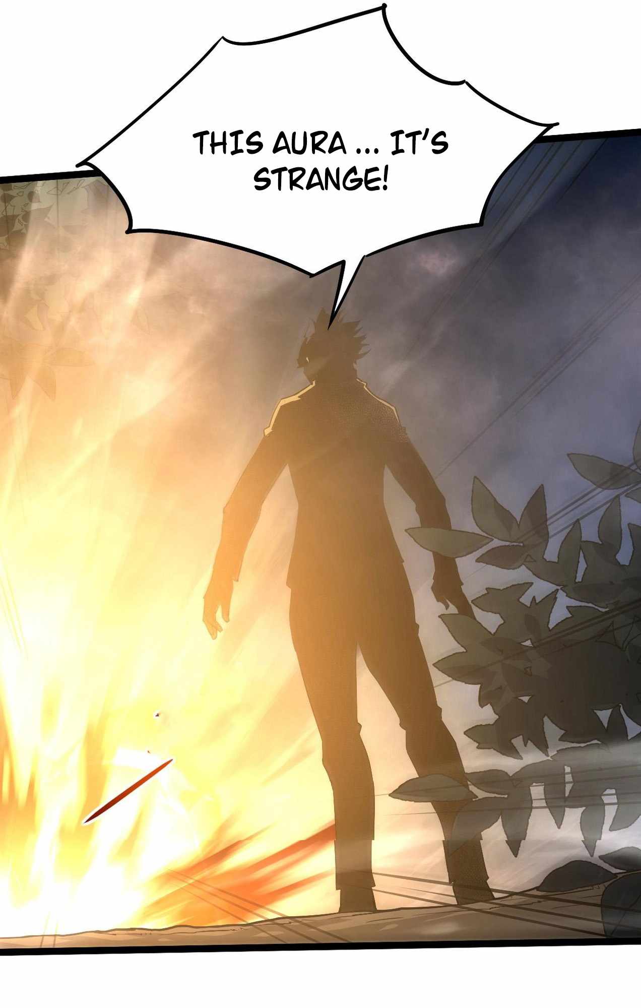 54