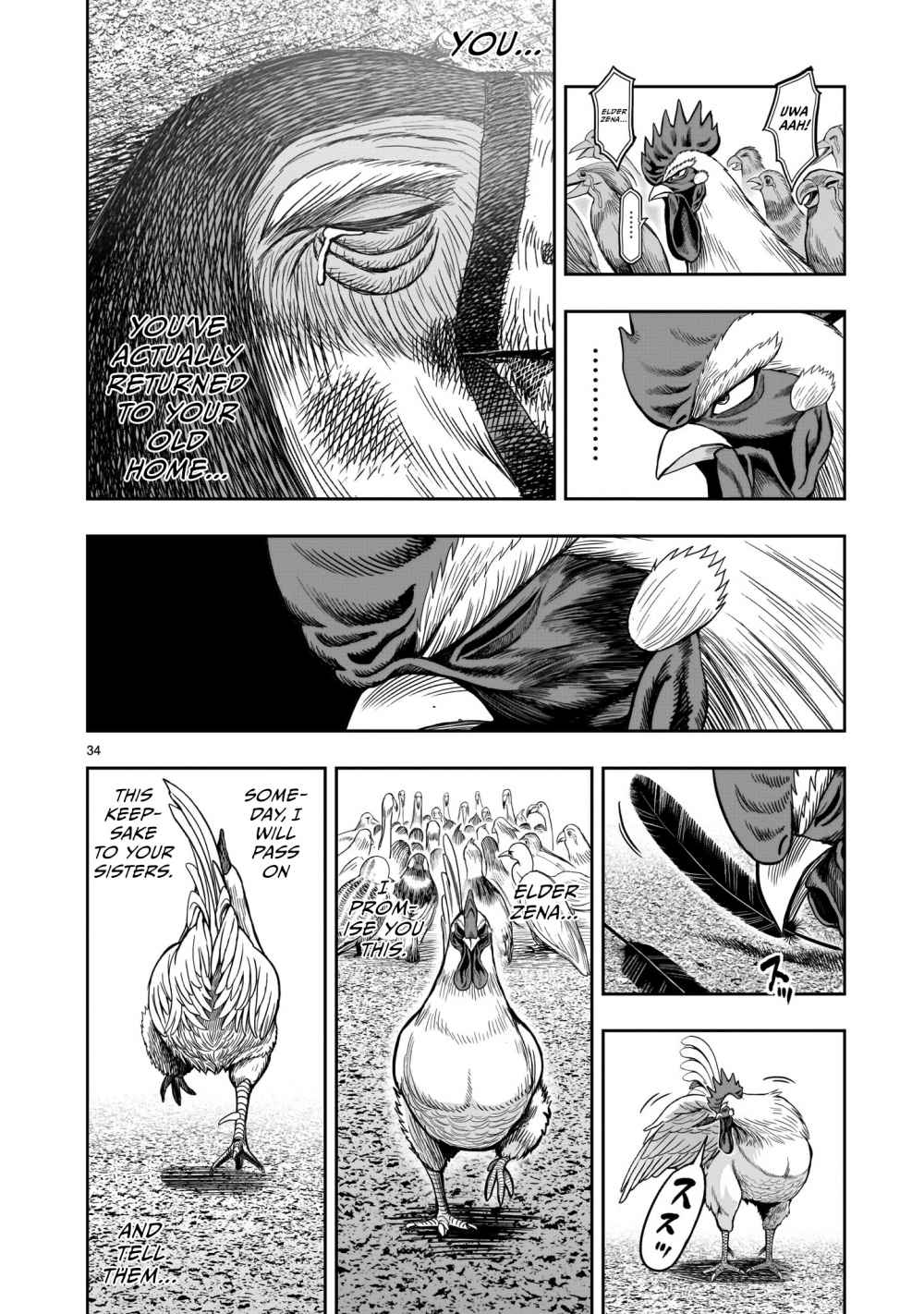 34