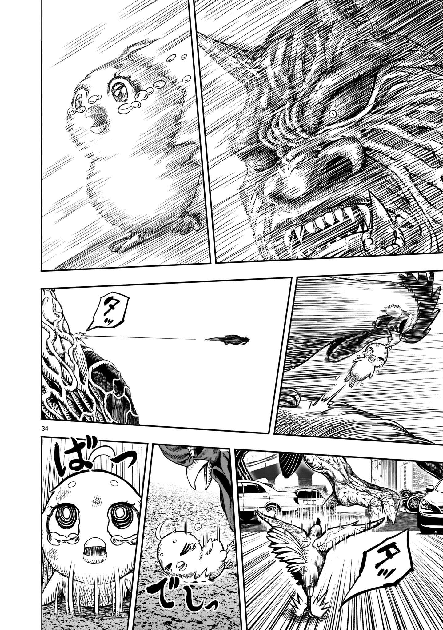 34