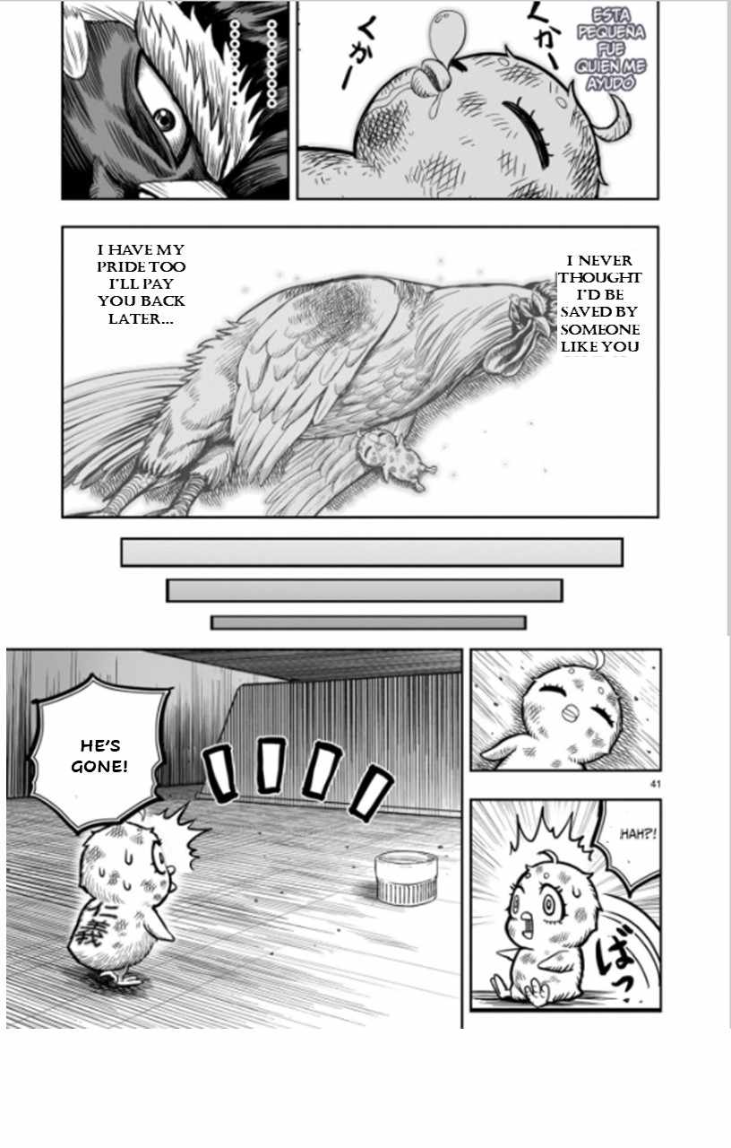 41