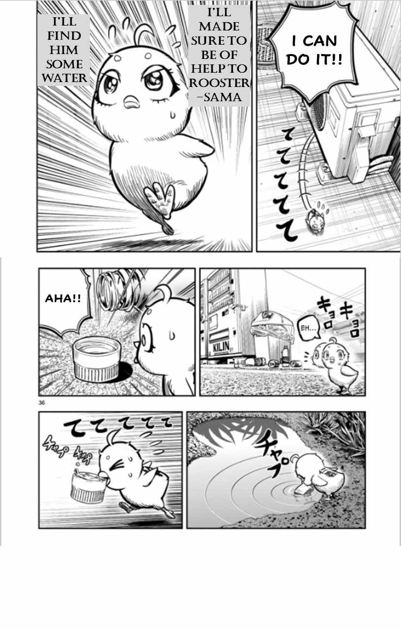 36