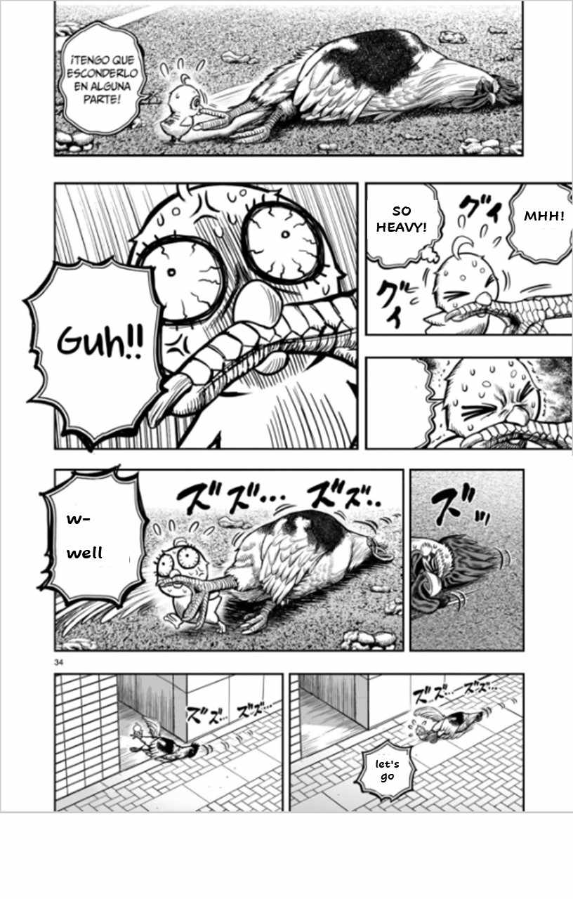 34