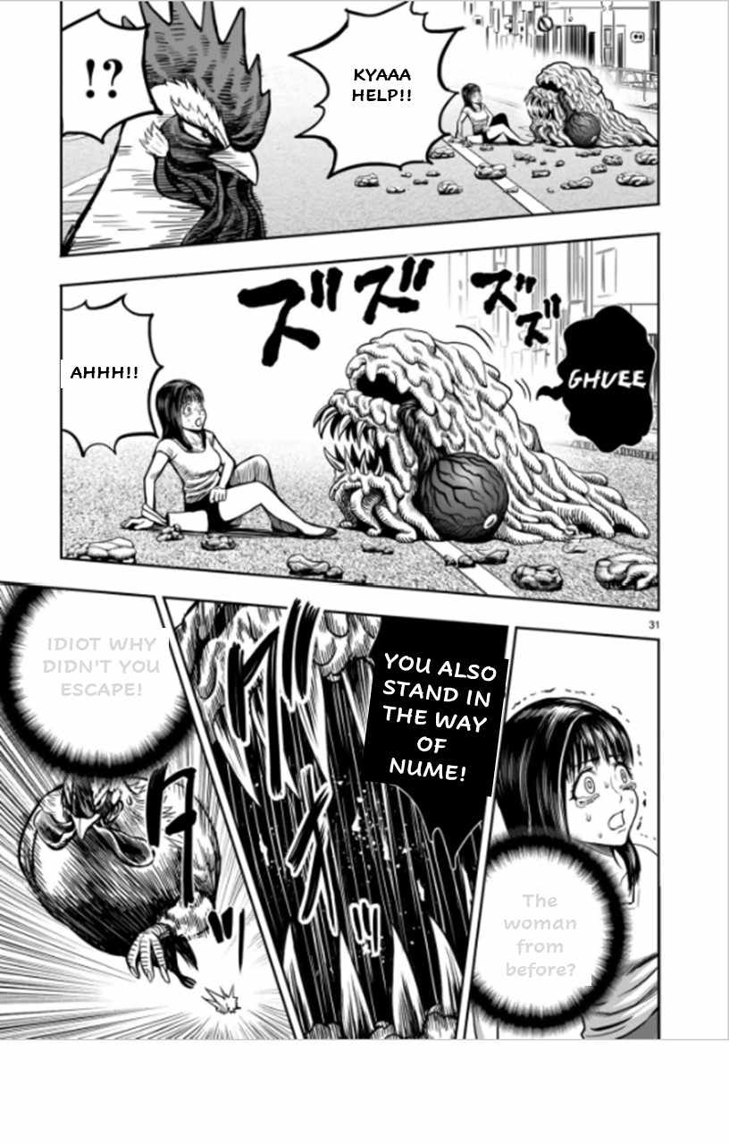 31