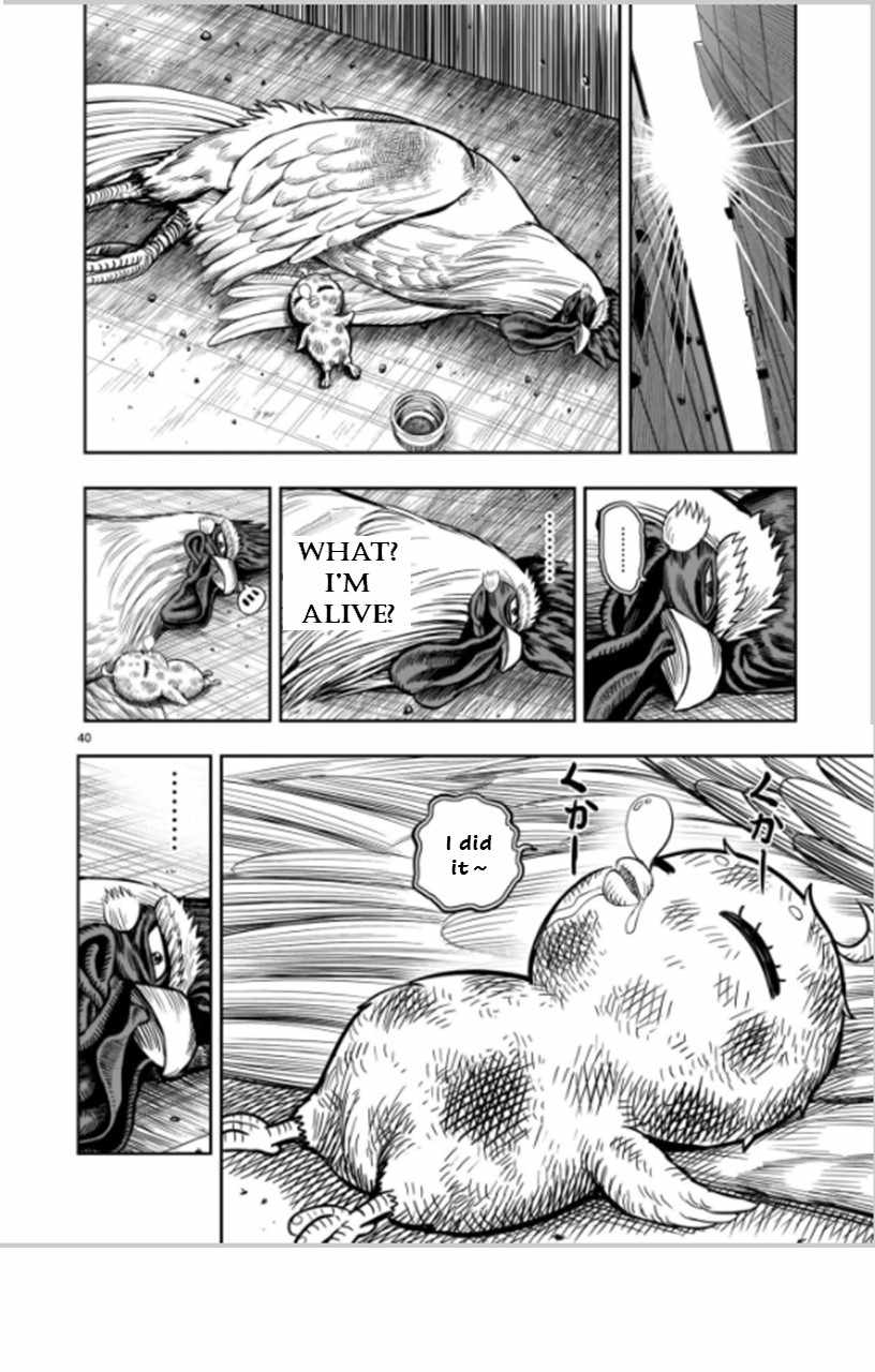 40