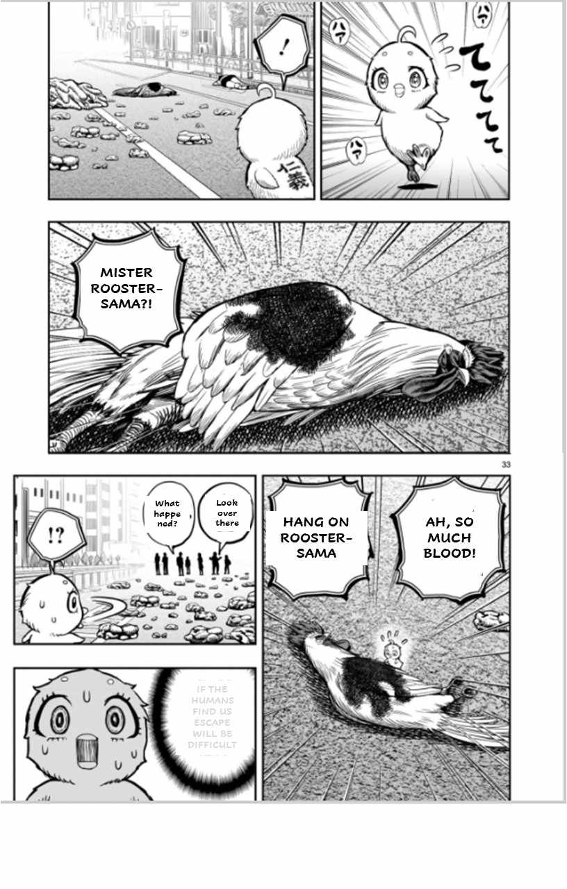 33